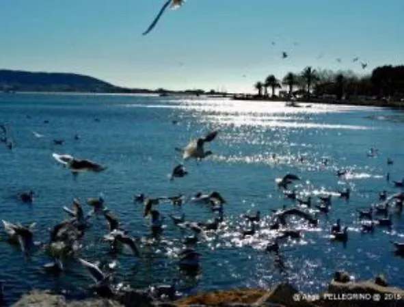 Le Belvedere 2 Daire Balaruc-les-Bains